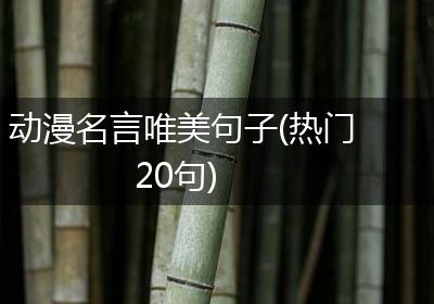 动漫名言唯美句子(热门20句)