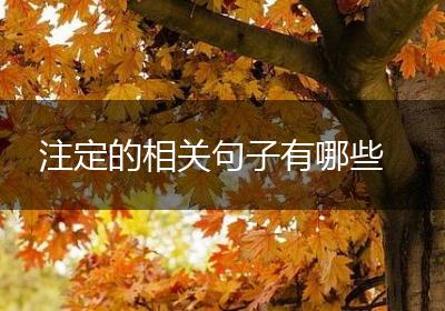 注定的相关句子有哪些