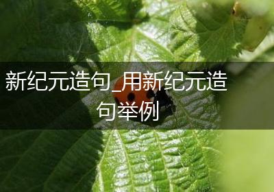 新纪元造句_用新纪元造句举例