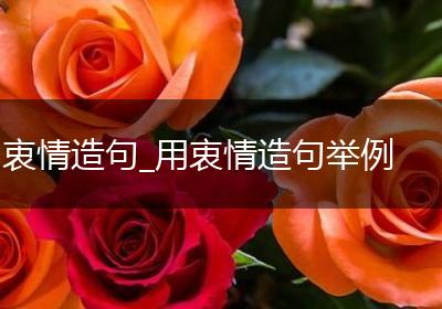 衷情造句_用衷情造句举例