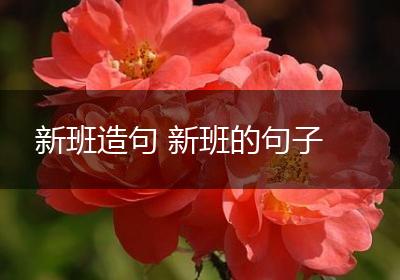 新班造句 新班的句子