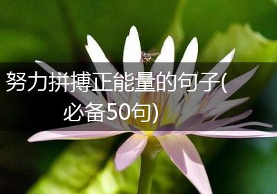 努力拼搏正能量的句子(必备50句)