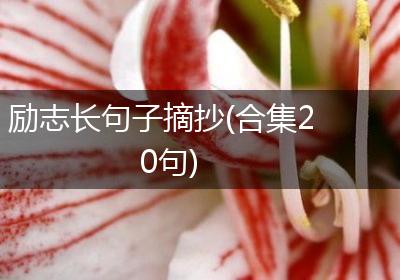 励志长句子摘抄(合集20句)
