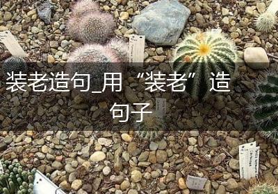 装老造句_用“装老”造句子