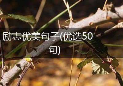 励志优美句子(优选50句)