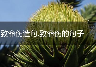 致命伤造句,致命伤的句子