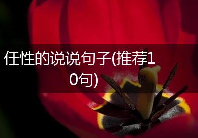 任性的说说句子(推荐10句)