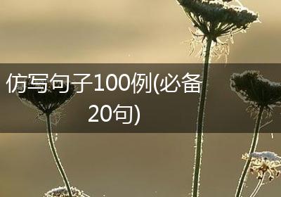 仿写句子100例(必备20句)