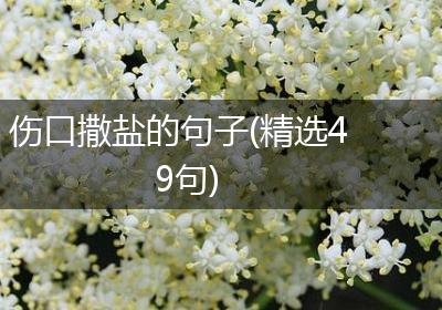 伤口撒盐的句子(精选49句)