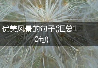 优美风景的句子(汇总10句)