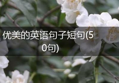 优美的英语句子短句(50句)