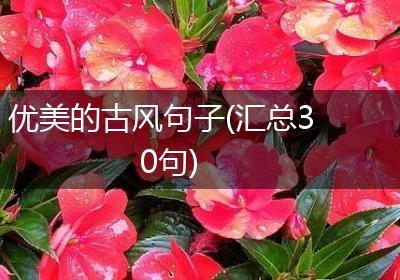 优美的古风句子(汇总30句)
