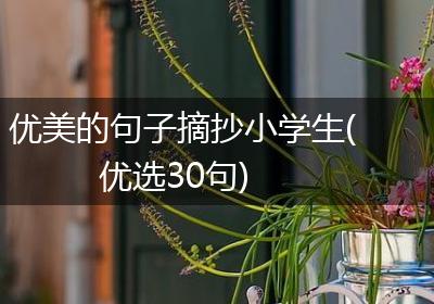优美的句子摘抄小学生(优选30句)