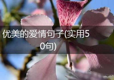 优美的爱情句子(实用50句)