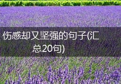 伤感却又坚强的句子(汇总20句)
