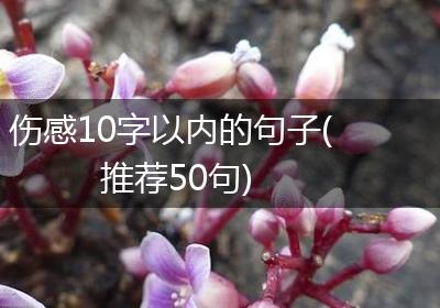 伤感10字以内的句子(推荐50句)
