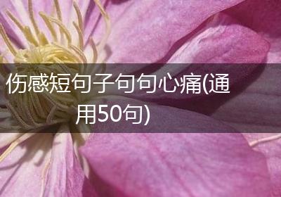 伤感短句子句句心痛(通用50句)