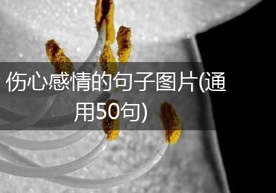 伤心感情的句子图片(通用50句)