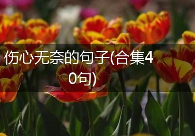 伤心无奈的句子(合集40句)