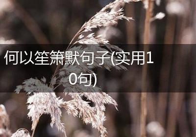 何以笙箫默句子(实用10句)