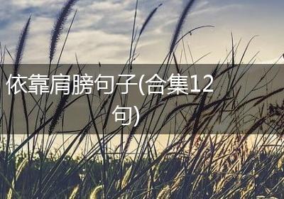 依靠肩膀句子(合集12句)