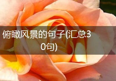 俯瞰风景的句子(汇总30句)