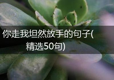 你走我坦然放手的句子(精选50句)