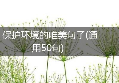 保护环境的唯美句子(通用50句)