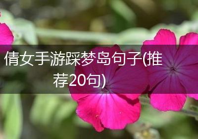 倩女手游踩梦岛句子(推荐20句)
