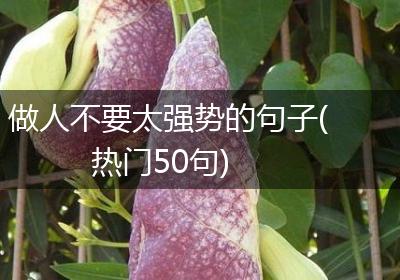 做人不要太强势的句子(热门50句)