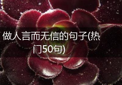 做人言而无信的句子(热门50句)