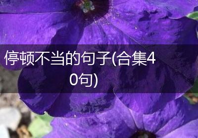 停顿不当的句子(合集40句)
