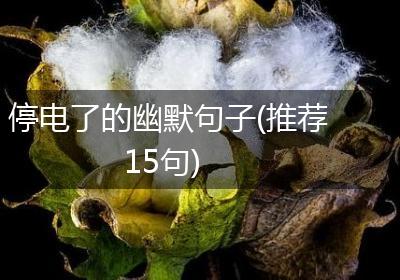 停电了的幽默句子(推荐15句)