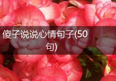 傻子说说心情句子(50句)