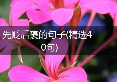 先贬后褒的句子(精选40句)