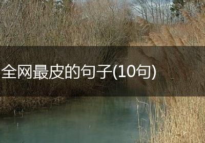 全网最皮的句子(10句)