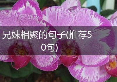 兄妹相聚的句子(推荐50句)