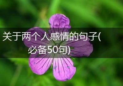 关于两个人感情的句子(必备50句)