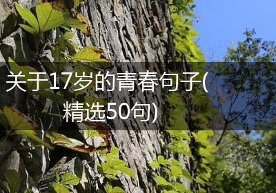 关于17岁的青春句子(精选50句)