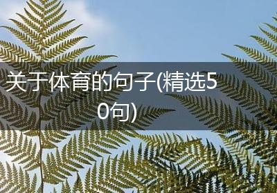 关于体育的句子(精选50句)