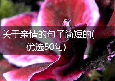 关于亲情的句子简短的(优选50句)