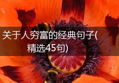 关于人穷富的经典句子(精选45句)