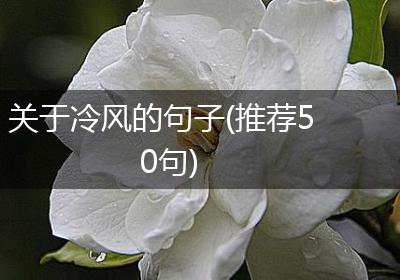 关于冷风的句子(推荐50句)