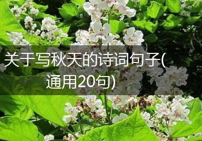 关于写秋天的诗词句子(通用20句)