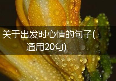 关于出发时心情的句子(通用20句)