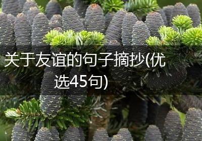 关于友谊的句子摘抄(优选45句)