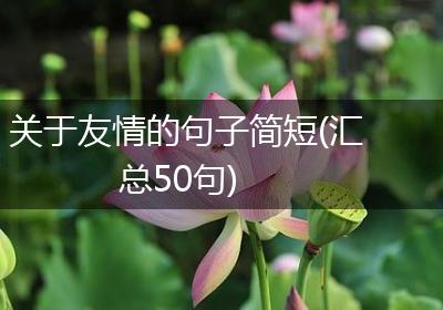 关于友情的句子简短(汇总50句)