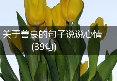 关于善良的句子说说心情(39句)