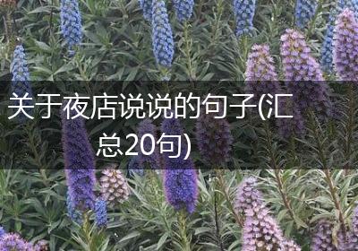 关于夜店说说的句子(汇总20句)