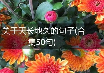 关于天长地久的句子(合集50句)